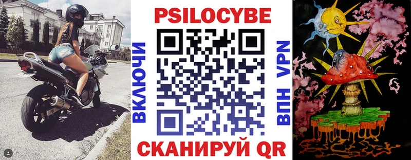 Галлюциногенные грибы Psilocybe  где можно купить наркотик  гидра tor  Вязники 